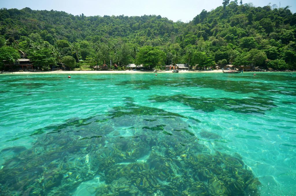 Rantee View Bungalow Phi Phi-eilanden Buitenkant foto